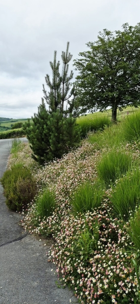 Bryn Uchel Caravan Park
